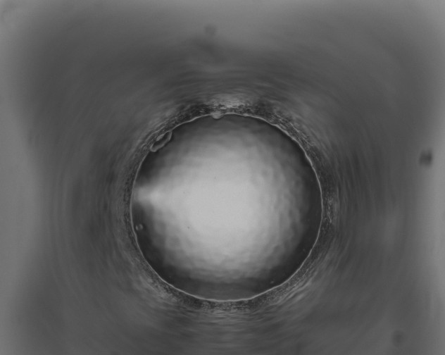 X0000094781393200711241329