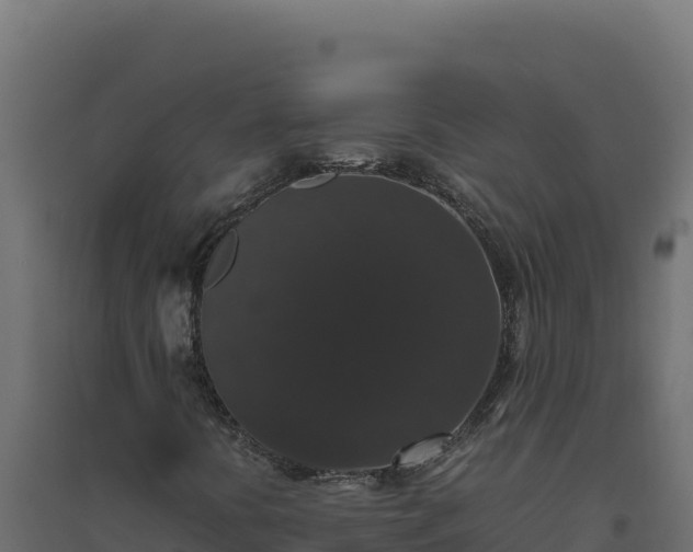 X0000094781394200711241329