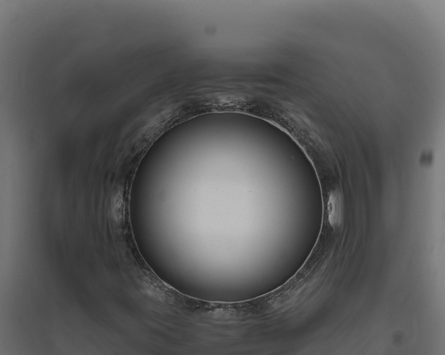 X0000094781395200711241329