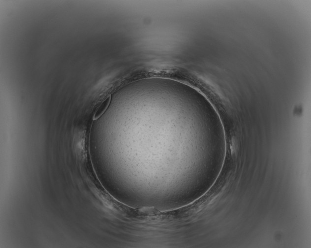 X0000094781396200711241329
