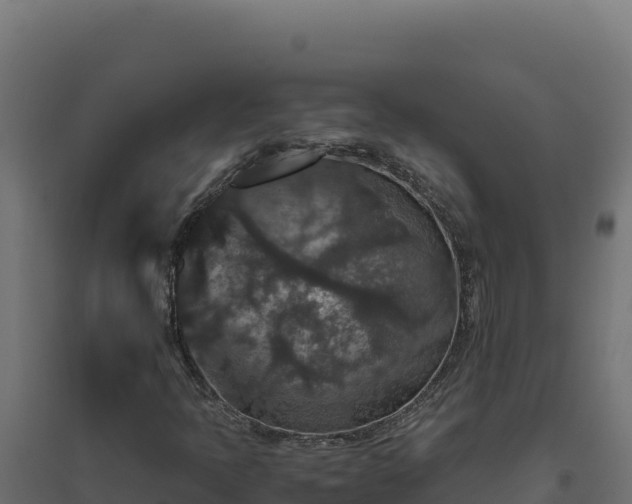 X0000094781397200711241329