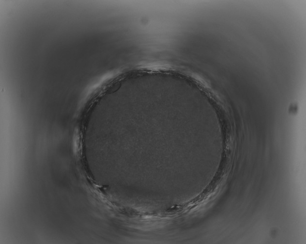 X0000094781398200711241329