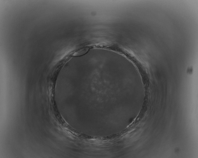 X0000094781399200711241329