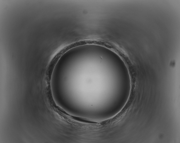 X0000094781400200711241329