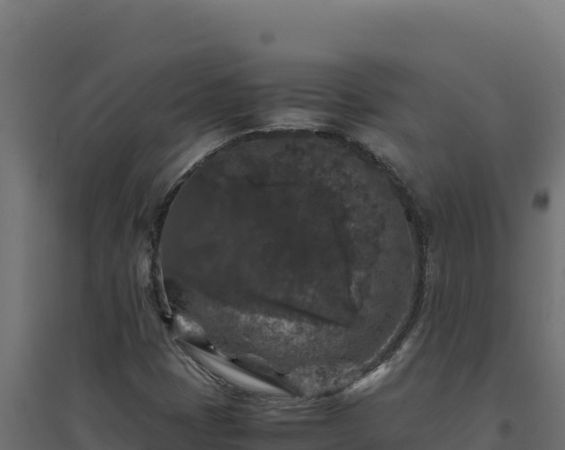 X0000094781401200711241329
