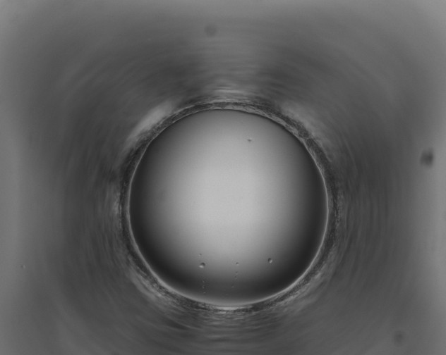 X0000094781403200711241329