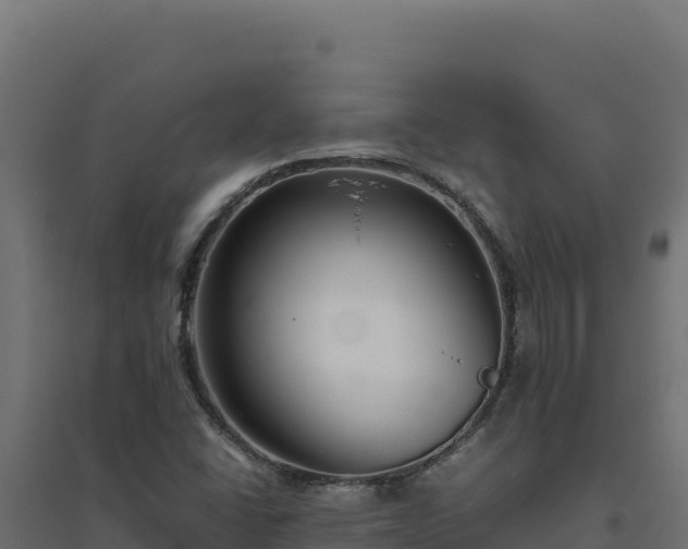 X0000094781406200711241329