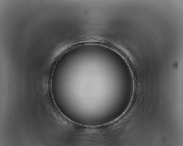 X0000094781407200711241329