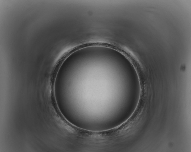 X0000094781408200711241329