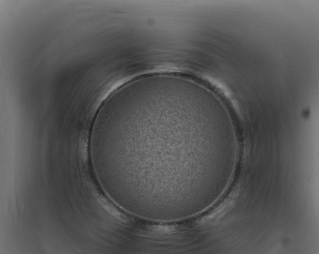 X0000094781409200711241329