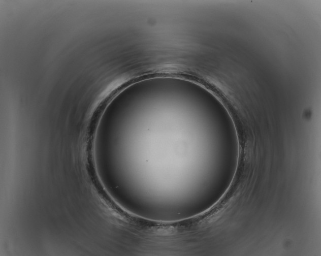 X0000094781410200711241329