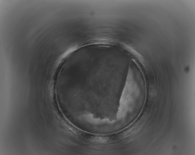 X0000094781411200711241329