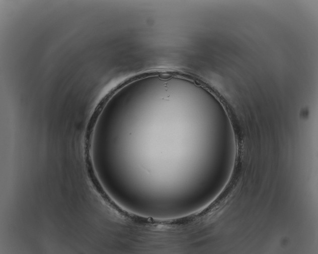 X0000094781412200711241329