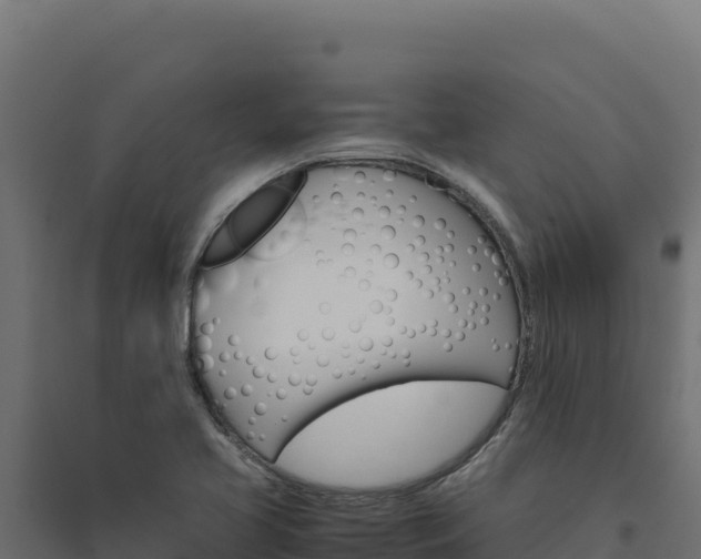 X0000094781413200711241329