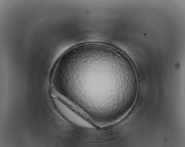 X0000094781415200711241329