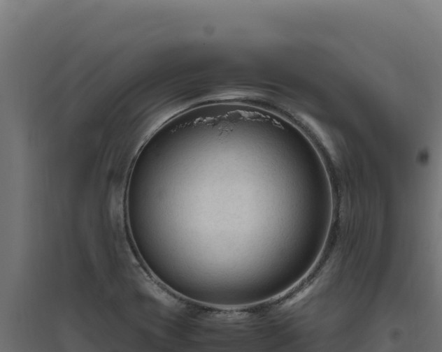 X0000094781417200711241329