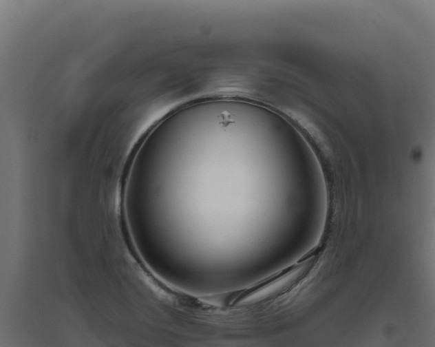 X0000094781420200711241329