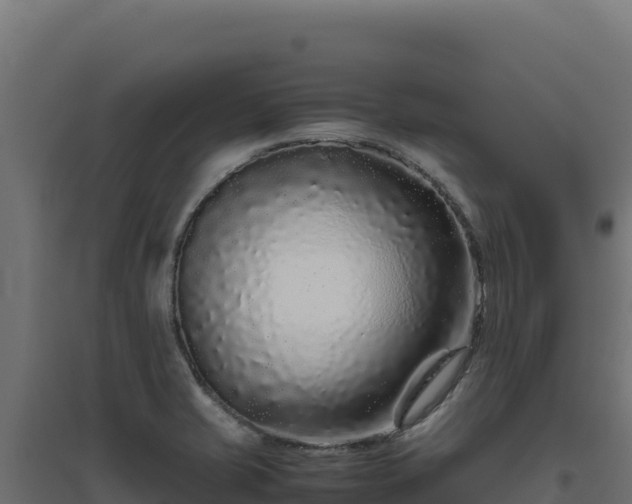 X0000094781421200711241329