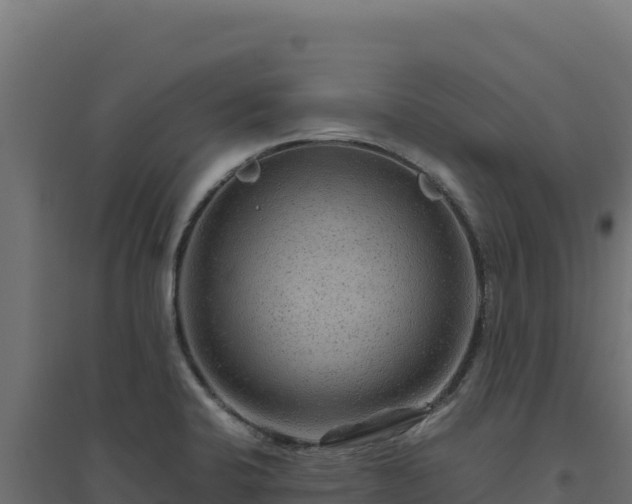 X0000094781424200711241329