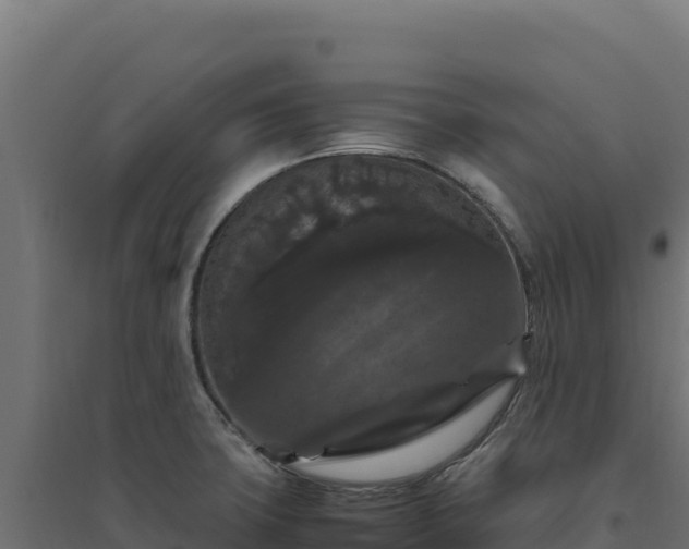 X0000094781427200711241329