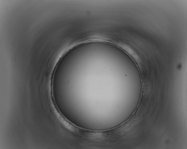 X0000094781431200711241329