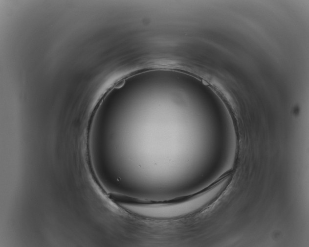 X0000094781432200711241329