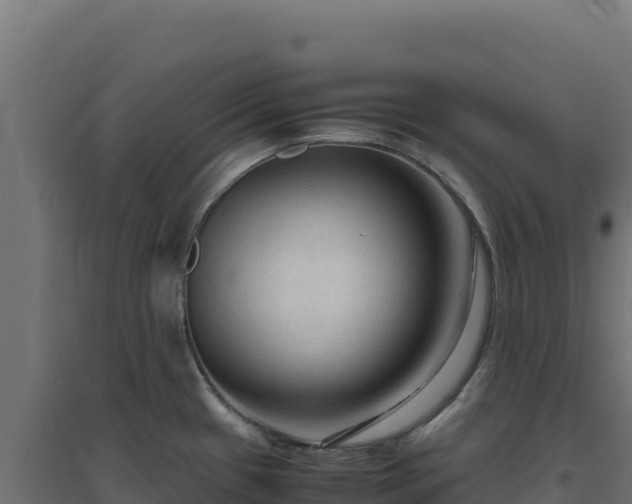 X0000094781433200711241329