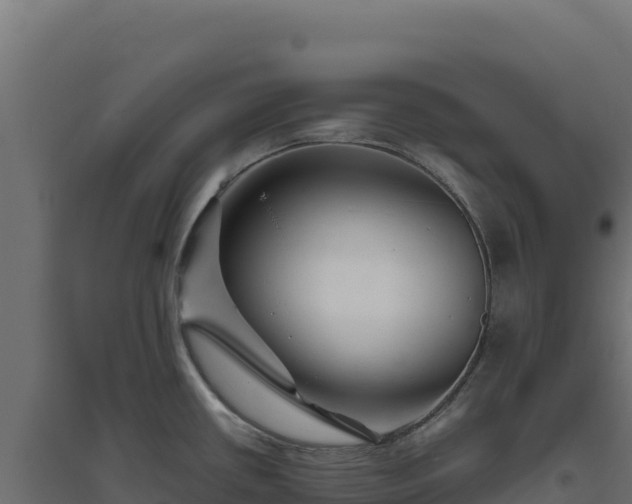X0000094781434200711241329