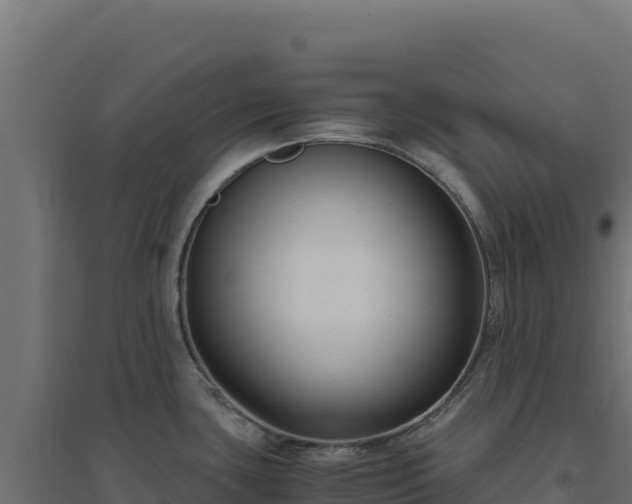 X0000094781435200711241329