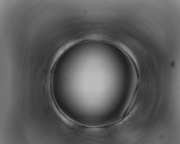 X0000094781437200711241329