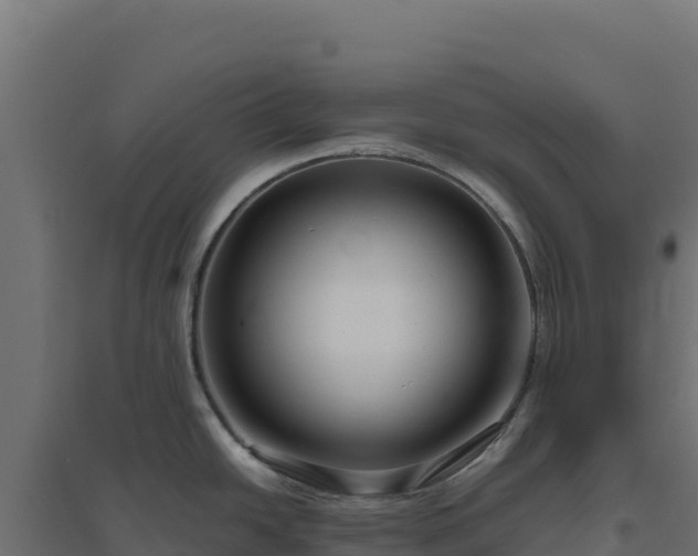 X0000094781438200711241329
