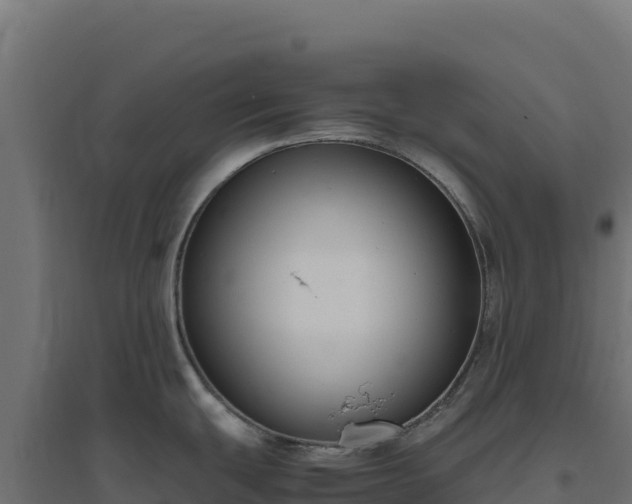 X0000094781439200711241329