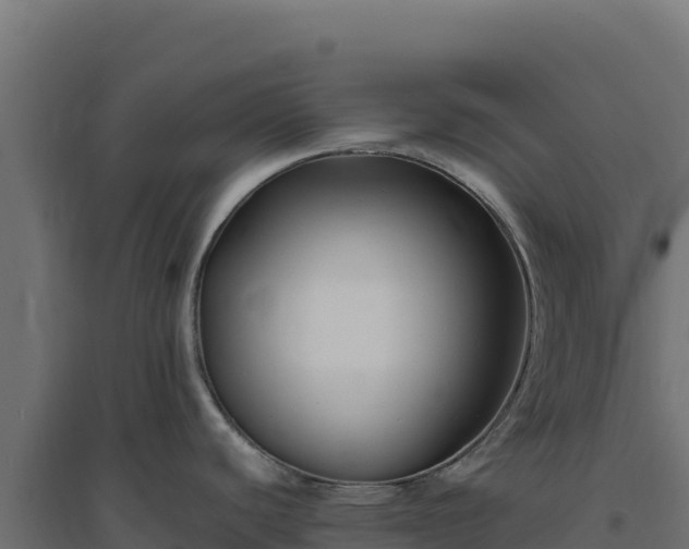 X0000094781440200711241329