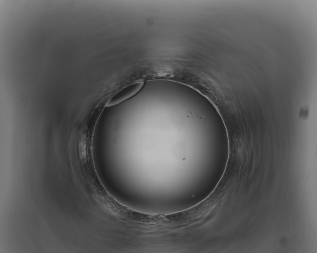X0000094781442200711241329