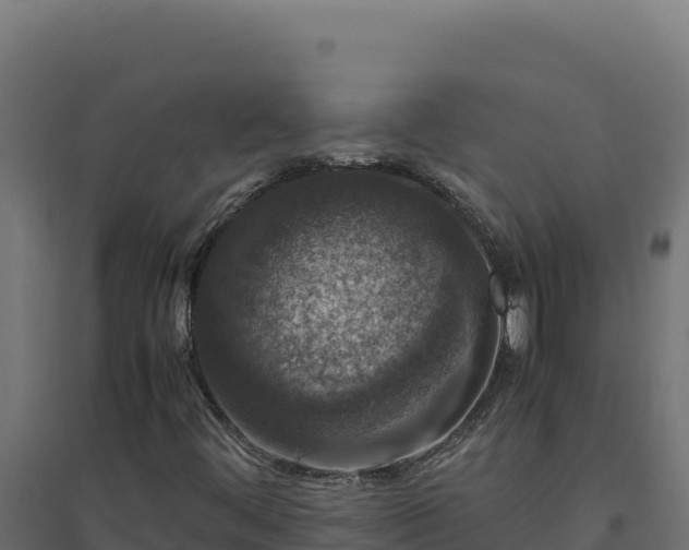 X0000094781444200711241329