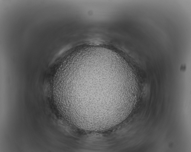X0000094781446200711241329
