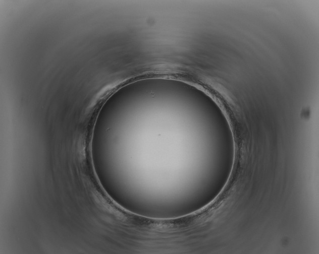 X0000094781451200711241328