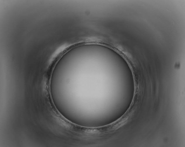 X0000094781454200711241328