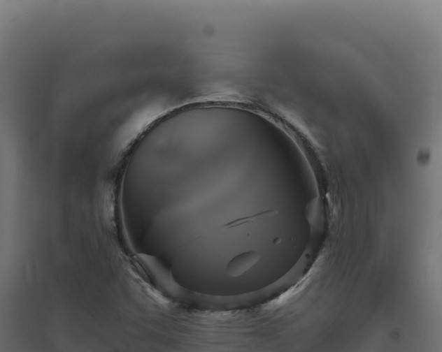 X0000094781455200711241328