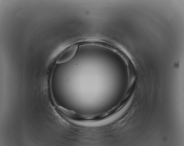 X0000094781456200711241328