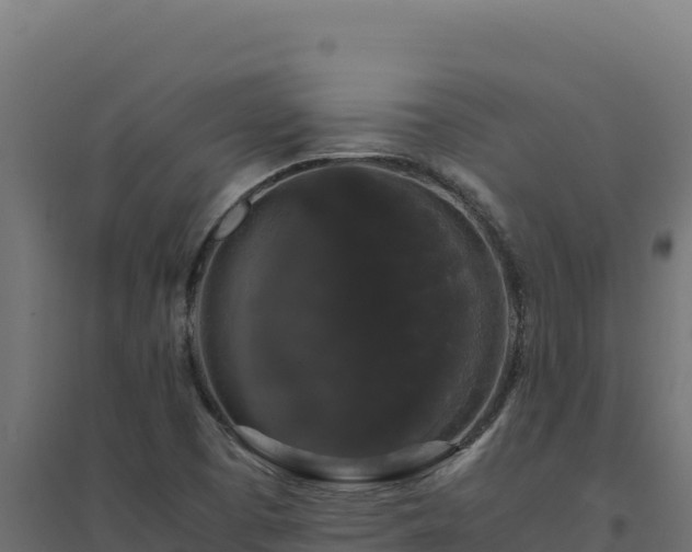 X0000094781457200711241328