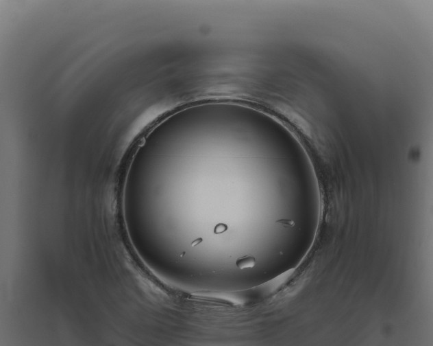 X0000094781458200711241328