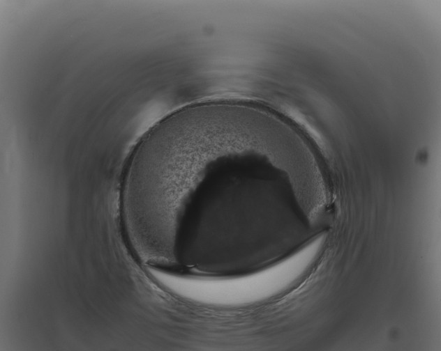 X0000094781459200711241328