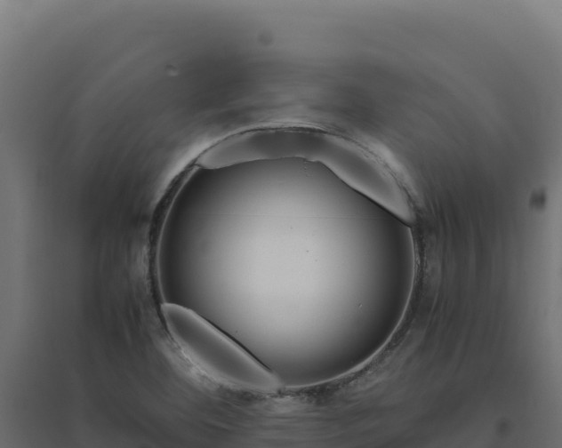 X0000094781460200711241328
