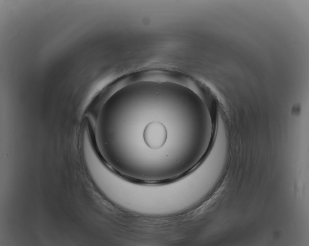 X0000094781461200711241328