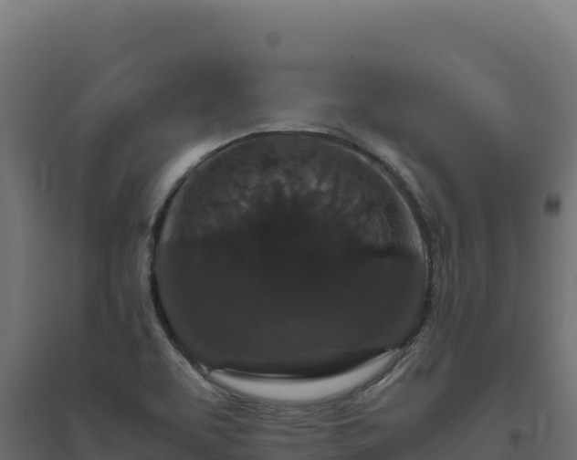X0000094781463200711241328