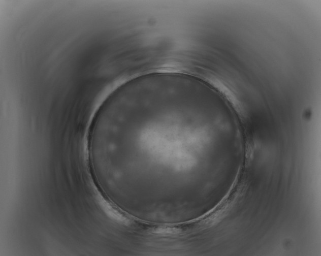 X0000094781466200711241328
