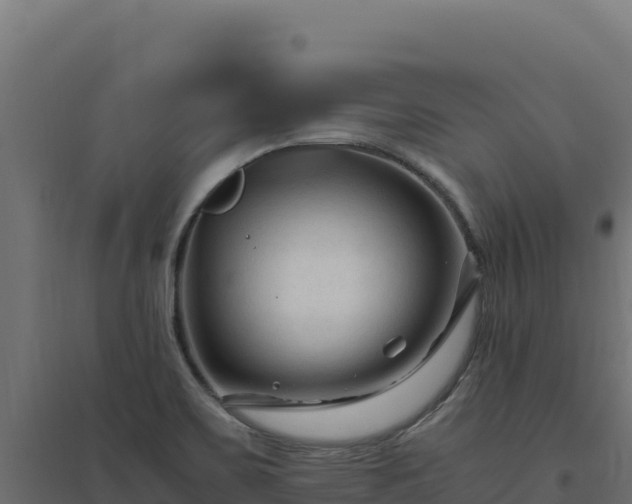 X0000094781467200711241328