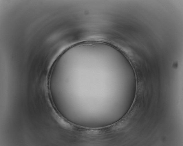X0000094781470200711241328