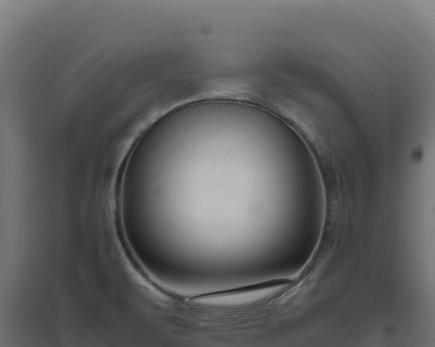 X0000094781471200711241328
